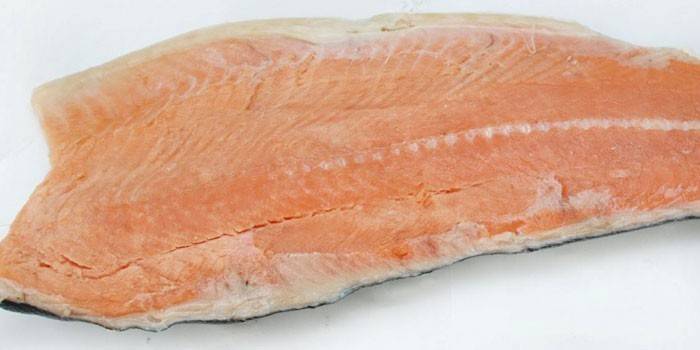 Salmão