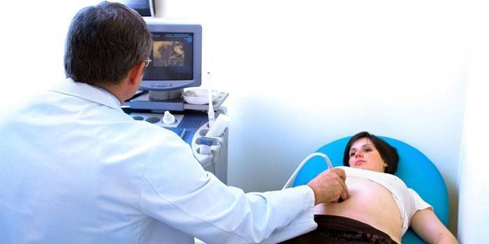el médico realiza una ecografía del paciente