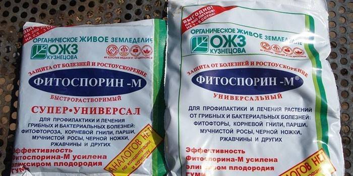 Droga Fitosporin