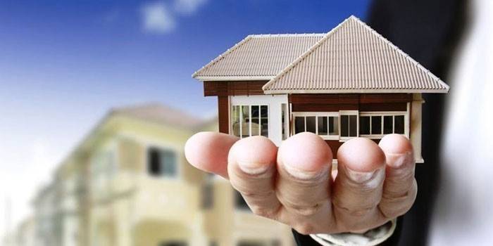 Casa na palma da sua mão