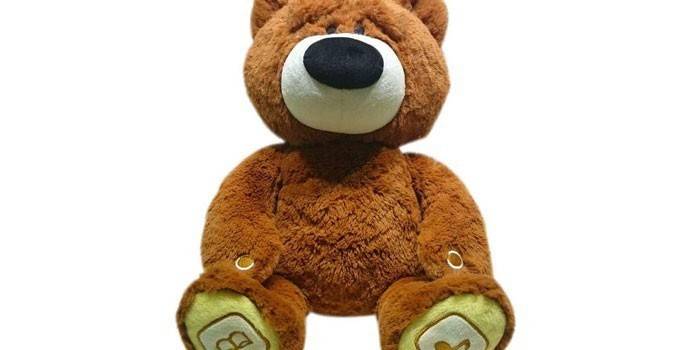Bear Luvn Aprende 20020L