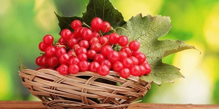 Viburnum em uma cesta