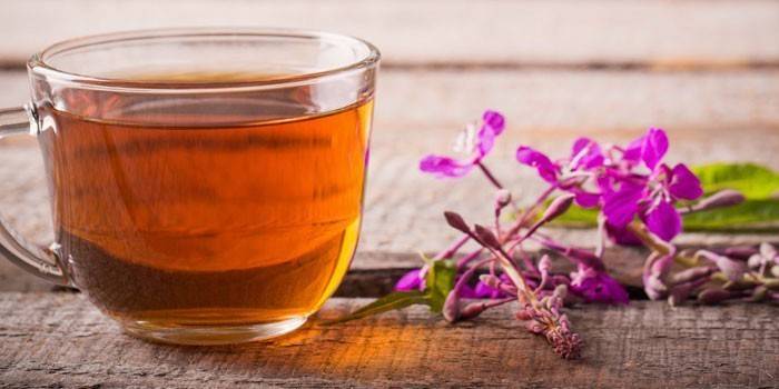 Odvar Fireweed v šálke
