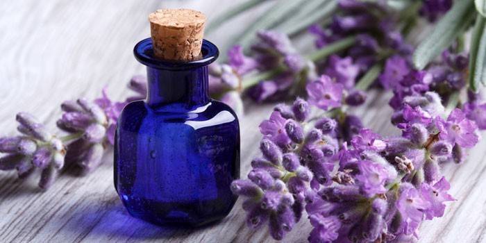 Lavanda e garrafa