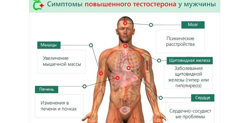 Príznaky zvýšeného testosterónu u mužov