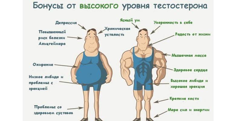 Vysoko hormónové bonusy