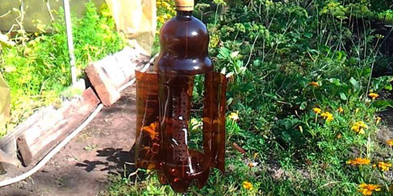 Plastikowa pułapka na kret butelki
