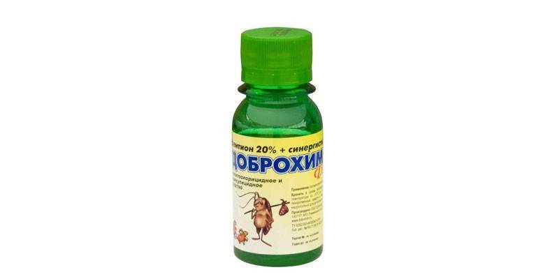 Oznacza Dobrohim Fos
