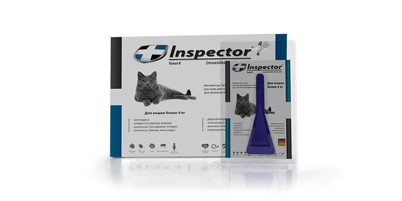 Inspektor