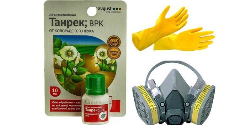 Środki ostrożności dla stonka ziemniaczanego