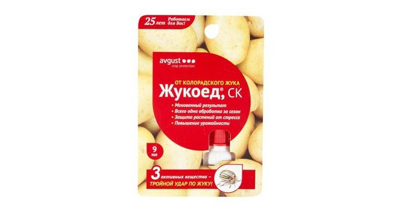 Chrząszcz