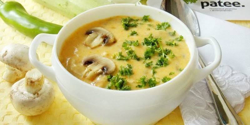 Sopa de puré
