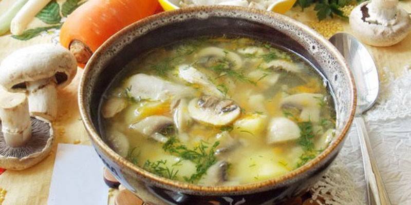 Sopa de caldo de pollo con champiñones