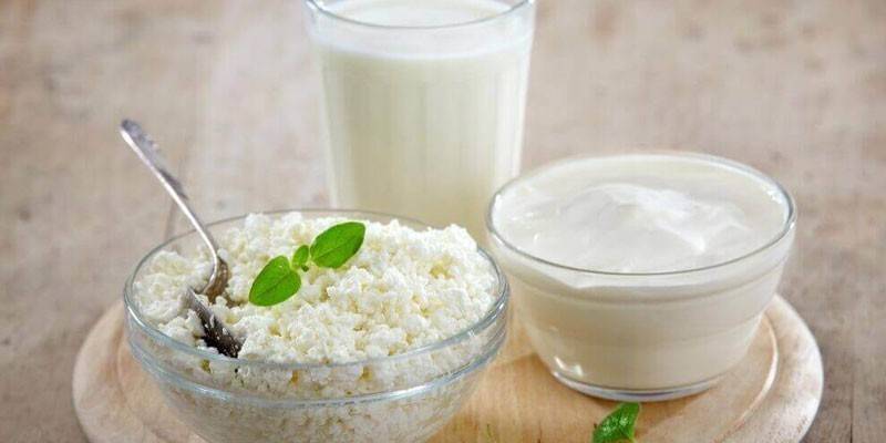 Productos de leche agria