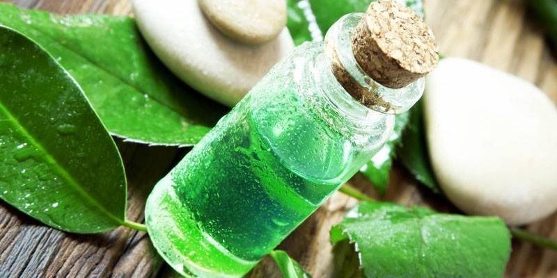Aceite de te verde