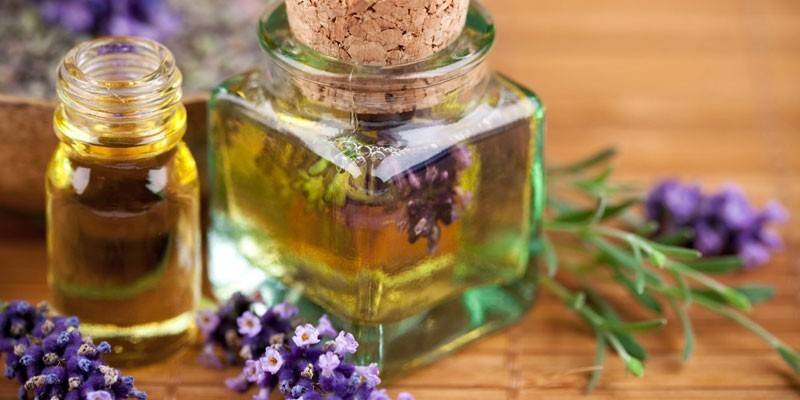 Óleo de lavanda