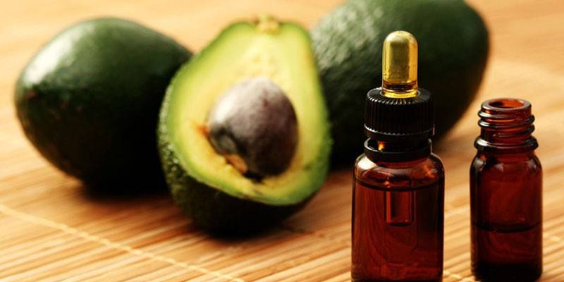 Frutas de Abacate e Óleo