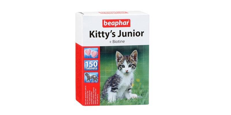 Kittys Junior