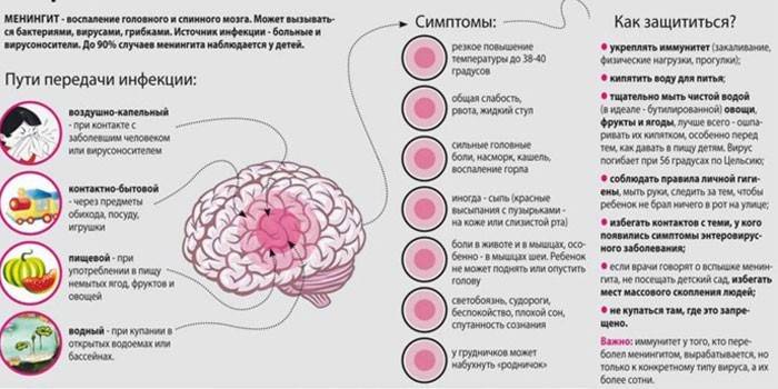 Meningite serosa - vias de transmissão, sintomas e prevenção