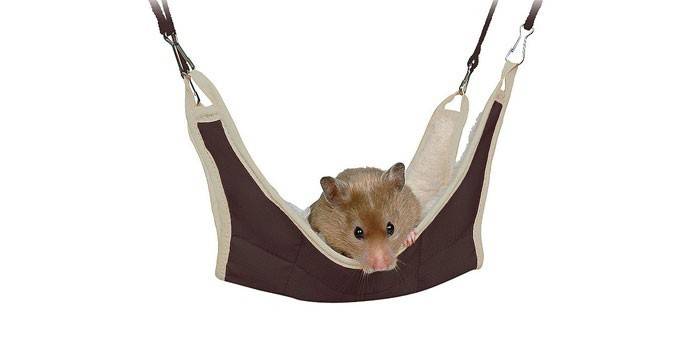 Hammock Trixie