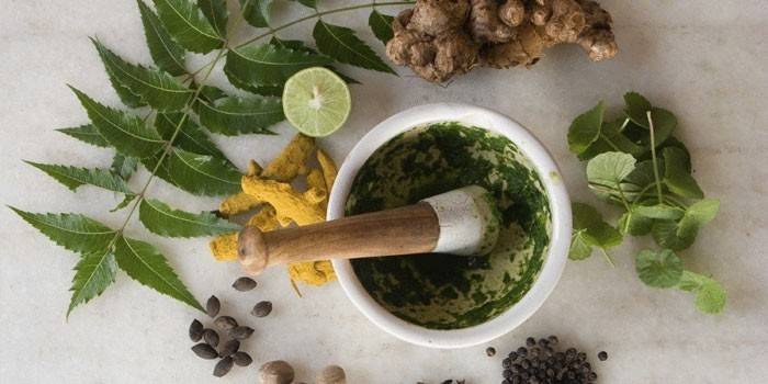 Gachas de plantas medicinales en un mortero