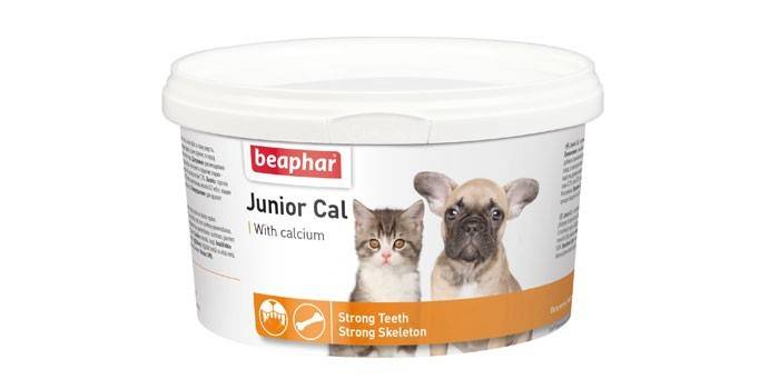Junior cal