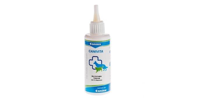 Canina canivita