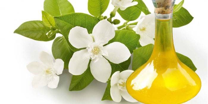 Óleo essencial e flores de neroli