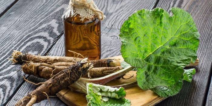 Aceite y planta