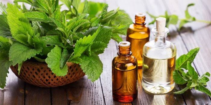 Aceite esencial y hojas de menta