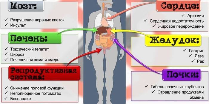 O efeito do álcool no corpo