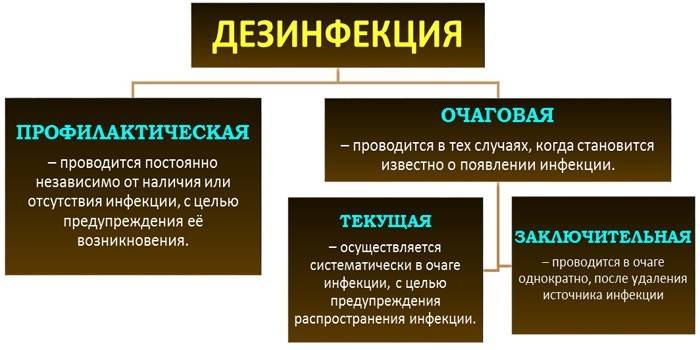 Kolejność profilaktyczna, ogniskowa, aktualna i końcowa