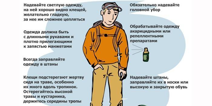 Zasady ochrony przed ukąszeniami kleszcza