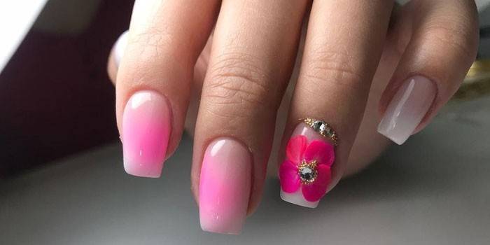 Efeito Ombre com decoração