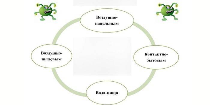 Las principales formas de transmisión de enfermedades.