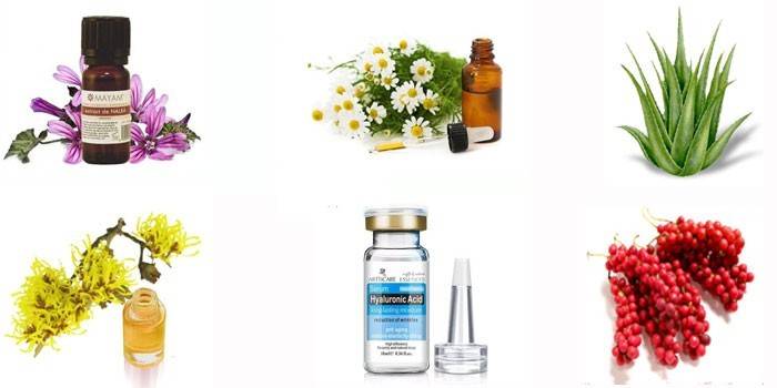 Ingredientes na composição
