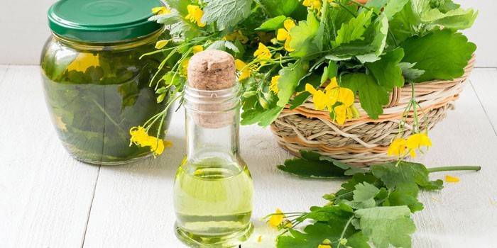Caldo de celandine em uma jarra e garrafa