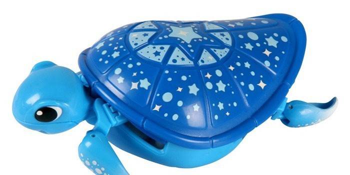 Turtle Moose Little Live Pets