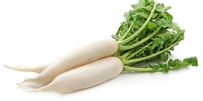 Daikon de rábano