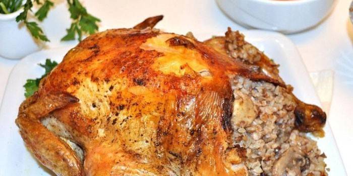 Frango de trigo sarraceno