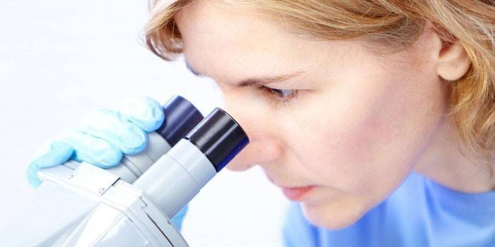 Menina, olhar, através, um, microscópio