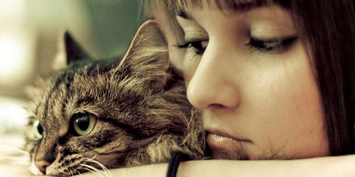 Menina e gato