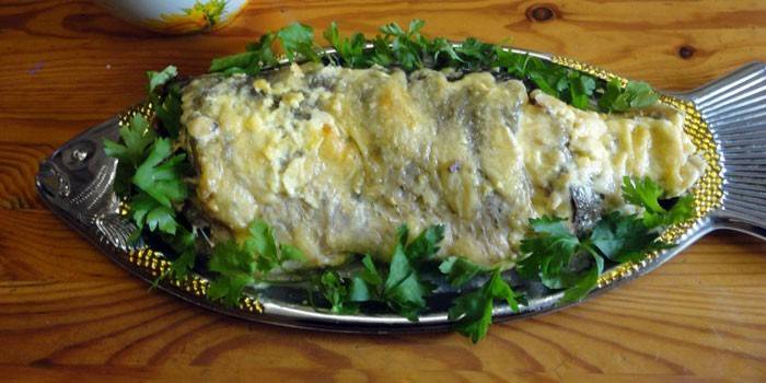 Plato de la dieta