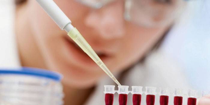 Técnico de laboratório, fazendo um exame de sangue