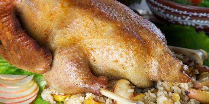 Prato pronto com arroz