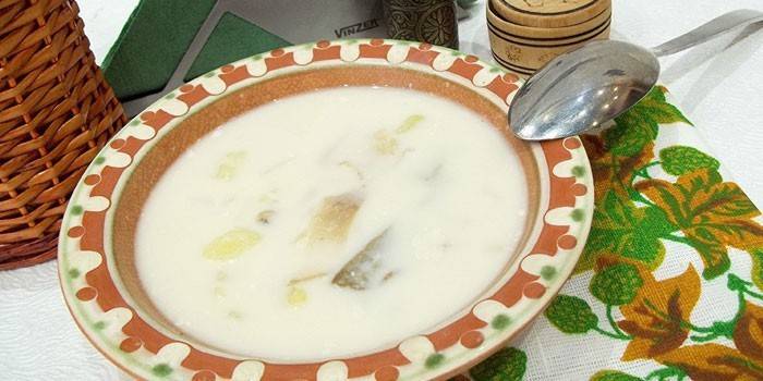 Bir tabak içinde peynir çorbası
