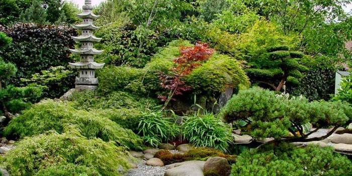 Paisagismo de estilo japonês