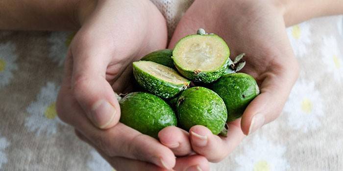 Owoce Feijoa w dłoniach