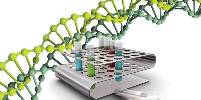 Estrutura de DNA e tubos de ensaio