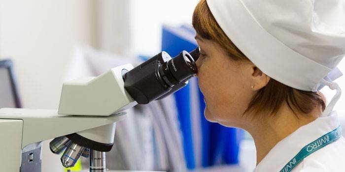 Laboratórny výskum